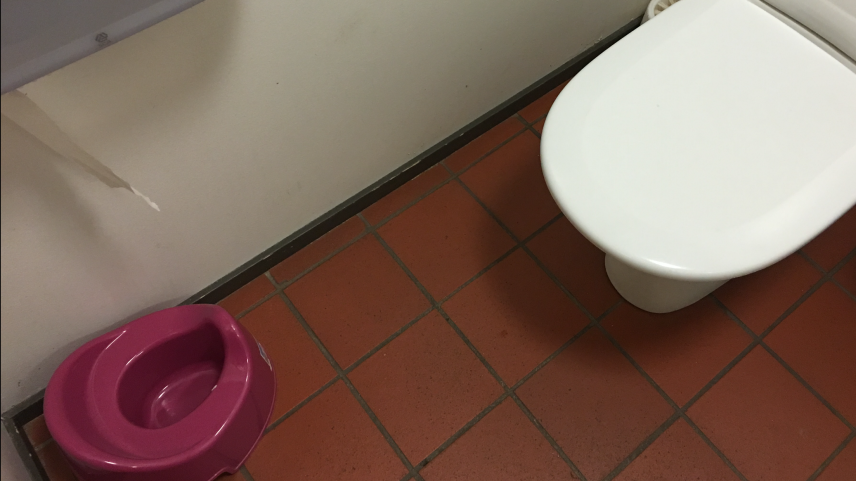 «Finnland: Jedem sein Töpfchen- auch auf öffentlichen Toiletten.» (Ruth Bossart) 