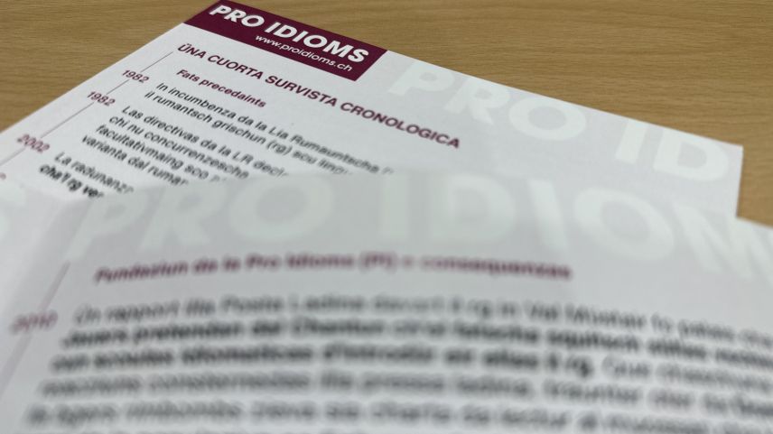 La Pro Idioms ha preschantà ün flyer cun üna cuorta survista cronologica da las activiats da la Pro Idioms (fotografia: Nicolo Bass).
