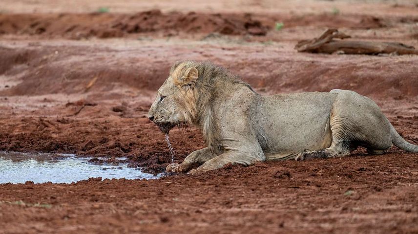 Die Natur und die Tierwelt in Kenia haben den Fotografen Mayk Wendt begeistert. Foto Mayk Wendt