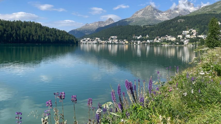 200 internationale Expertinnen und Experten verschiedener Sparten treffen sich in St. Moritz. Foto: Fadrina Hofmann