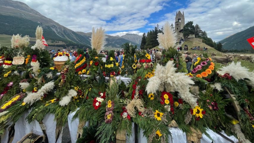 Impressionen vom Alpabzug in Celerina. Foto: Reto Stifel