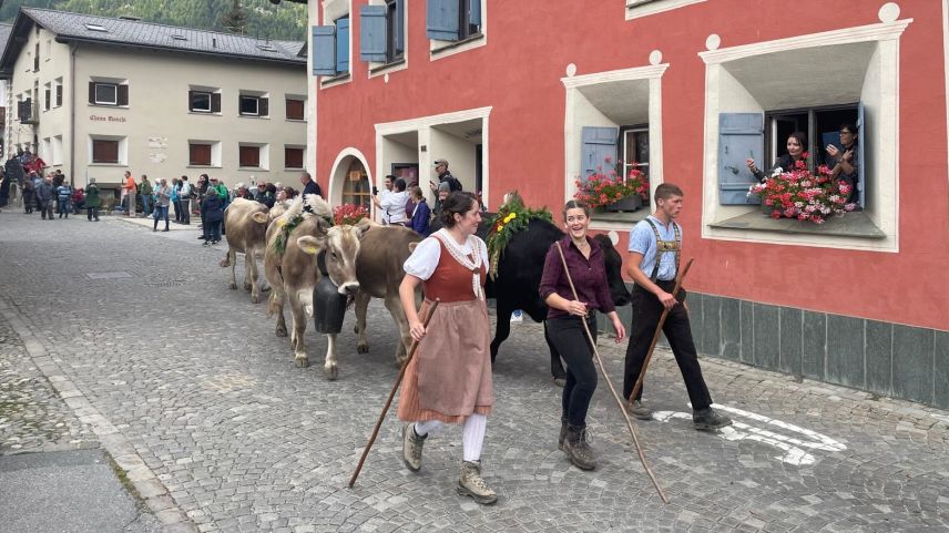 Impressionen vom Alpabzug in Celerina. Foto: Reto Stifel