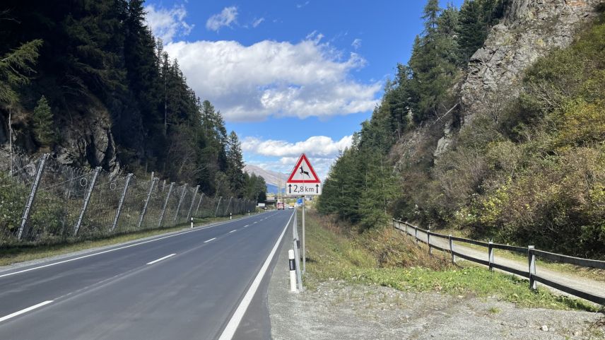 Im Herbst ist erhöhte Vorsicht geboten, da Unfälle mit Wildtieren auf der Strasse zunehmen. Foto: Andrea Gutgsell