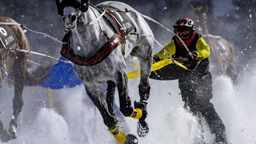 Das Sicherheitsgeschirr minimiert das Risiko. Foto: White Turf