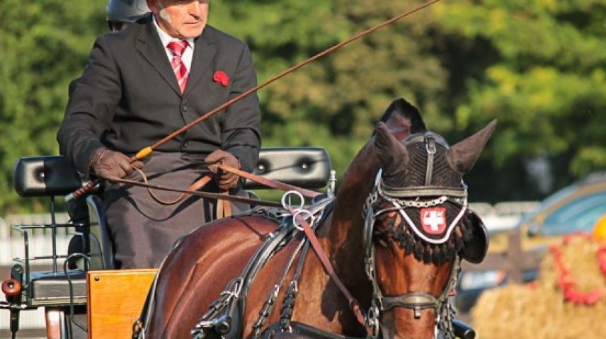 Giacomin Barbüda mit Fahr-Weltmeister mit Nesqu ( Foto: Krisztina Horvath/Hoefnet.com)