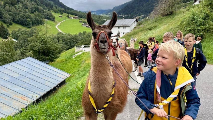 Ün higlight es il trekking cun lamas. fotografia: Ladina Crastan