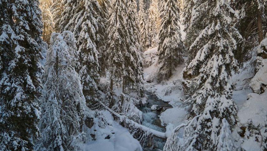 Idilla d’inviern sco quia illa Val Clemgia - na plü uschè tipic sco avant ün 20, 30 ons. fotografia: Michael Steiner