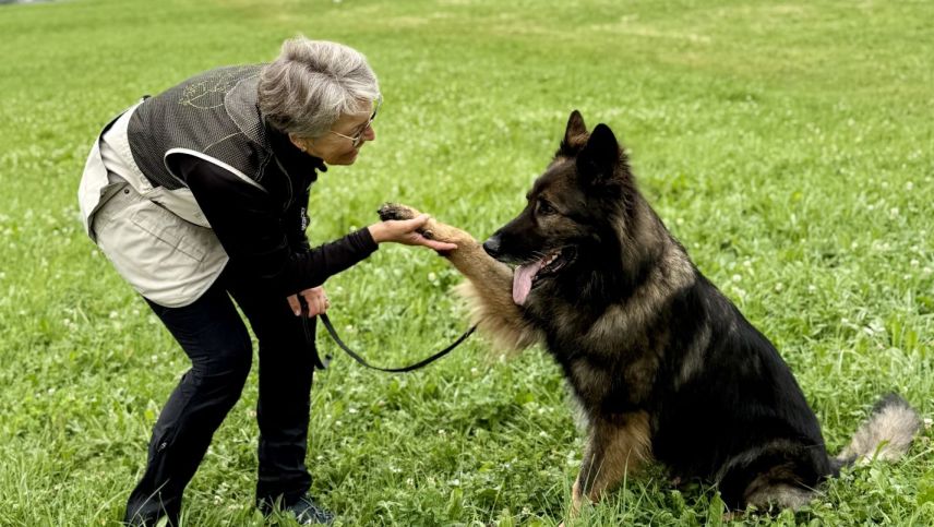 High five! Foto: Fadrina Hofmann