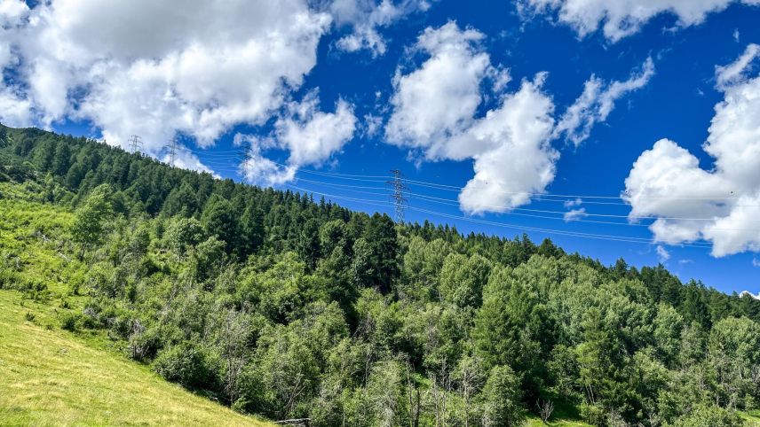Die 380-kV-Höchstspannungsleitung in Richtung Albulapass. Foto: Jon Duschletta