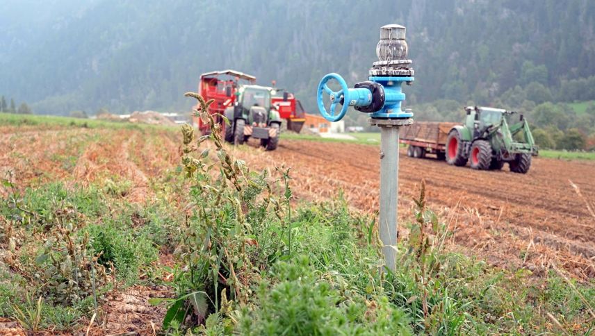 La stà choda e sütta ha chaschuna üna racolta da mailinterra maigra in tuot la Svizra (fotografia: RTR).