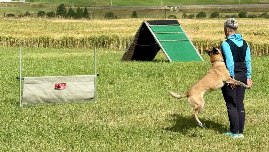 Hund und Mensch sind ein eingespielets Team. Foto: Fadrina Hofmann