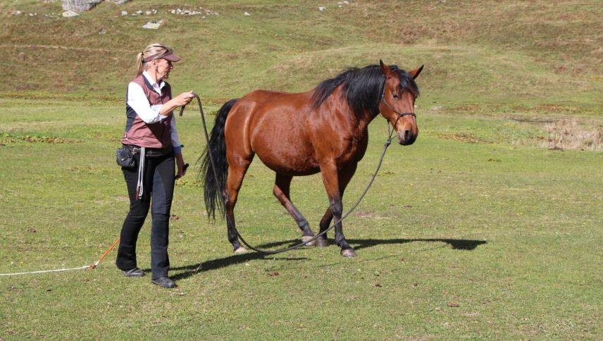Liz Heer, Horseman-Ship-Trainerin, zeigt wie mit der Leadrope das Pferd geführt wird. Foto: Liz Heer (z. Vfg)