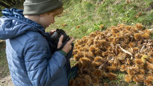 Kinder und Jugendliche aus verschiedenen Kantonen haben am Fotoworkshop teilgenommen. Fotos: Tiago Almeida