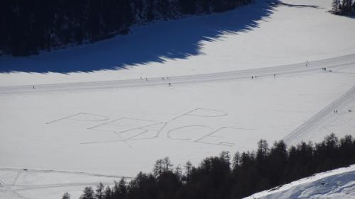 Die diesjährige Schneefigur in Form eines aktualitätsbezogenen englisch-, französisch- und lateinsprachigen Kreuzworträtsels. Foto: Marianne Steiger