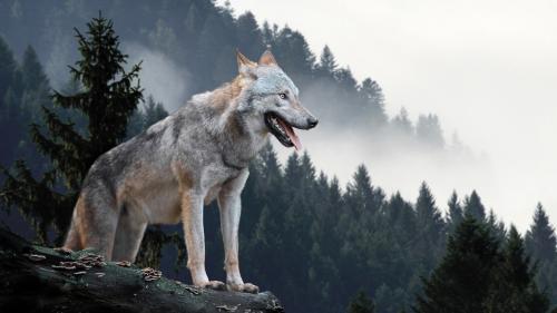 Symbolfoto: shutterstock.com/Volodymer Burdiak