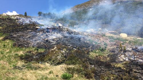 Der Mottbrand in Susch zerstörte Föhren und Weideland. Foto: Kantonspolizei