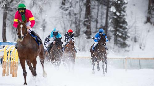 Foto: White Turf/Andrea Furger