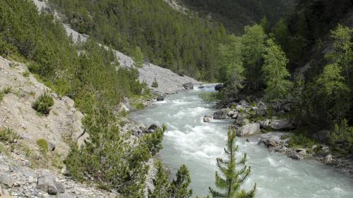 Foto: Schweizerischer Nationalpark