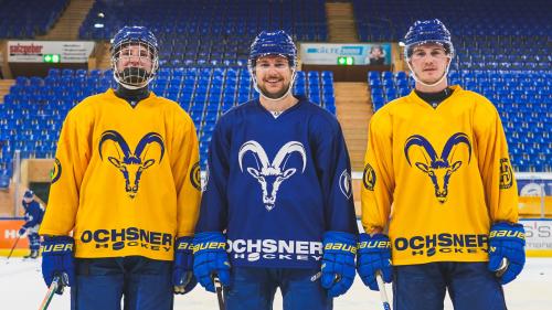 Drei der vier Engadiner im HCD-Kader (von links): Guus van der Kaaij (17), Davyd Barandun(24) und Nico Gross (24). Foto: HC Davos 