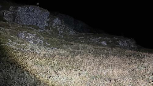 Der Fundort im Gelände. Foto: Kantonspolizei Graubünden