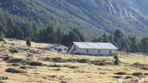 La chamonna da l’Alp Sprella resta sco ch’ella es davo il verdict dal Güdisch federal (fotografia: David Truttmann).