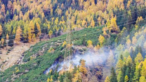 Zwei Drittel der Bündner Waldfläche sind Schutzwald. Dieser erfüllt wichtige Schutzfunktionen für Mensch und Tier, für Siedlungen, Verkehrswege oder Infrastrukturen wie beispielsweise Höchstspannungsleitungen. Foto: Jon Duschletta
