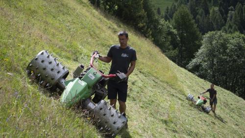 90 pertschient dal pavel vain sejà in Svizra per vachas, chavras o bescha. In muntogna voula maschinas specialas per far cun fain (fotografia: EDB Sagl)