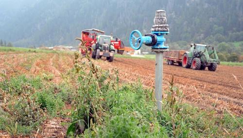 La stà choda e sütta ha chaschuna üna racolta da mailinterra maigra in tuot la Svizra (fotografia: RTR).