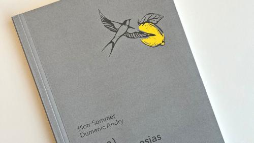 Il frontispizi da la collecziun da poesias valladras-polacas chi’d es  cumparü d’incuort (fotografia: David Truttmann).