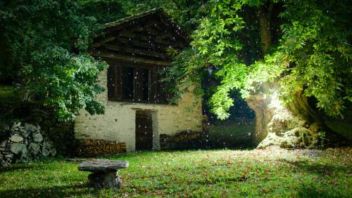 Auch in Brentan gibt es einen Spaziergang und eine Installation. Foto: Jaromir Kreilinger