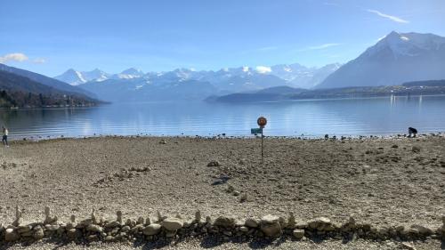 Der abgesenkte Thunersee vom Schaudaupark aus fotografiert. Foto: Bettina Gugger