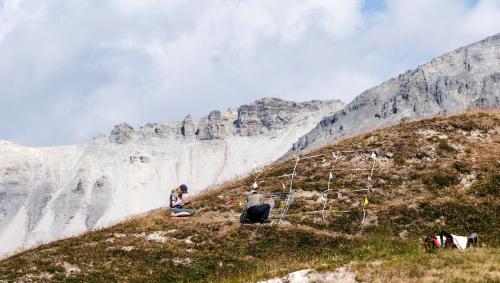 Auf Minschuns, 2519 Meter über Meer, fanden 2022 die letzten botanischen Untersuchungen zur Frage der klimabedingten Ausdehnung und Verdrängung von Pflanzenarten in Höhenlagen statt. Foto: Jon Duschletta (Archivbild)