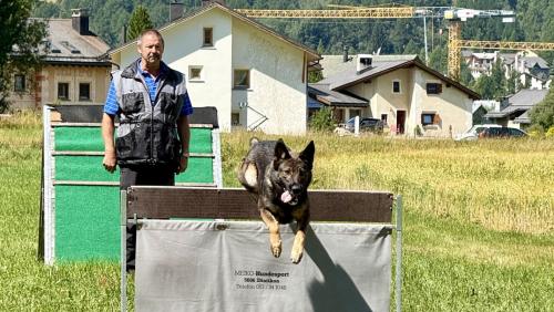 Im Hundesport herrscht Teamgeist. Foto: Fadrina Hofmann